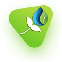 https://storl.pro-caisse.net/wp-content/uploads/2022/11/vert_triangle_01.png